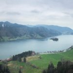 CCTV1综合频道高清直播正在进行中 0vtf2ww3o