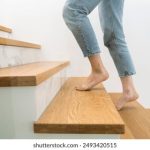 CCTV3综艺频道高清网络直播源实时观看指南 9xw1g0oc0h