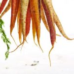 CCTV4海峡两岸直播:两岸热点时事权威解读 jf8x8q