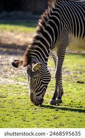 豪享博娱乐：揭秘最受欢迎的游戏和活动推荐