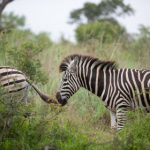 豪门国际网站的魅力:奢侈品与高端服务的完美结合 r6x3yvg9