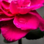 《新闻联播》录播与直播形式探析及对比研究 21lct7f2