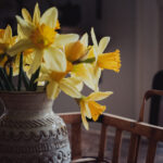 《昆仑决》官方在线直播平台全程高清放送 9q1170u0k